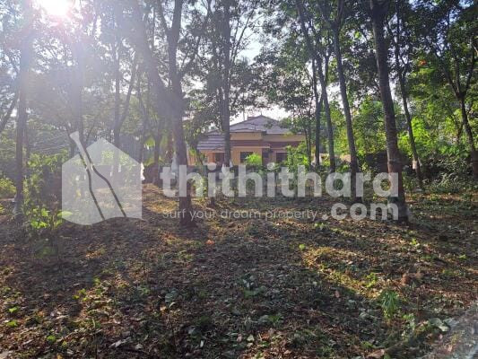 Residential Land available for Sale in Adoor Pathanamthitta