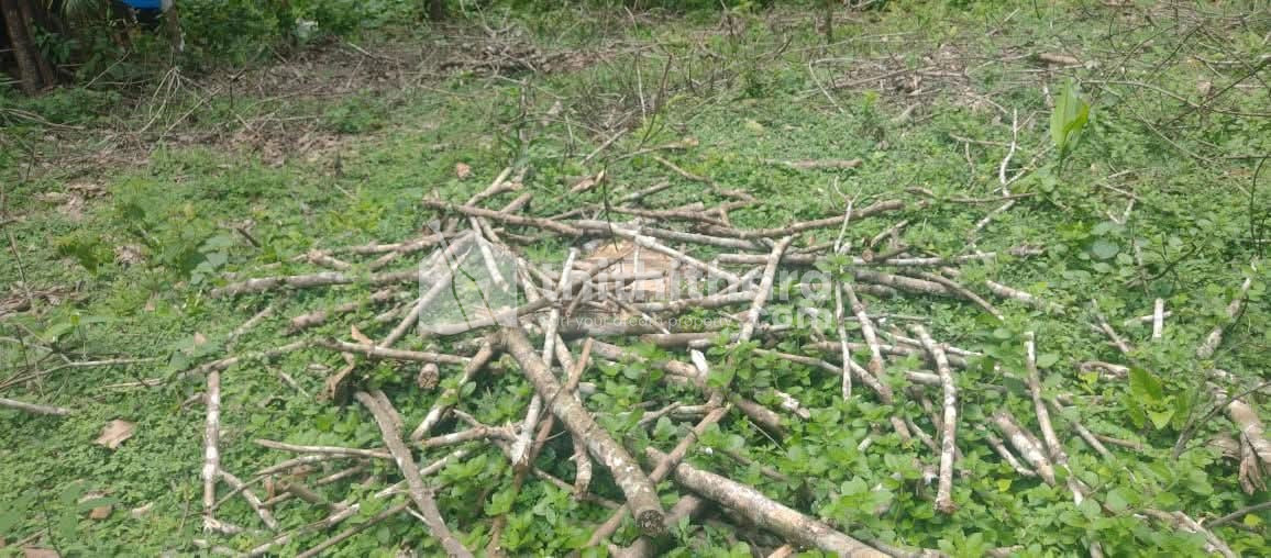 Residential Land Available for Sale in Ranni Pathanamthitta