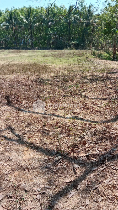 Residential Land for sale in Wadakkanchery Thrissur