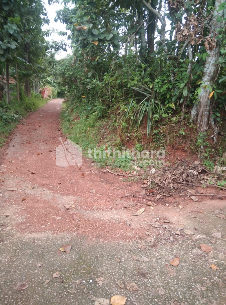 Residential Land available for Sale in Adoor Pathanamthitta