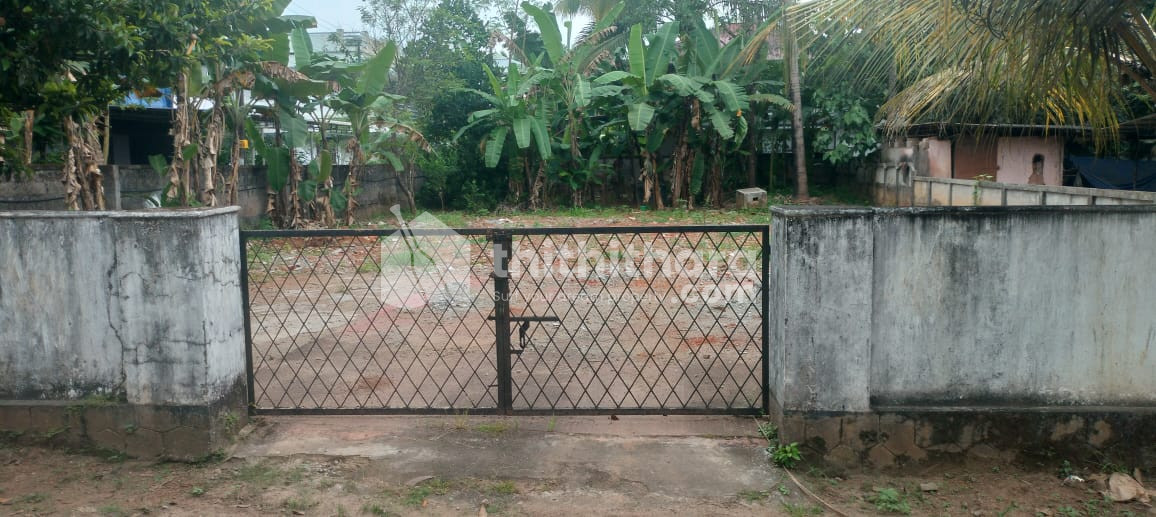 Residential Land Available  for Sale in Kuttoor Thrissur