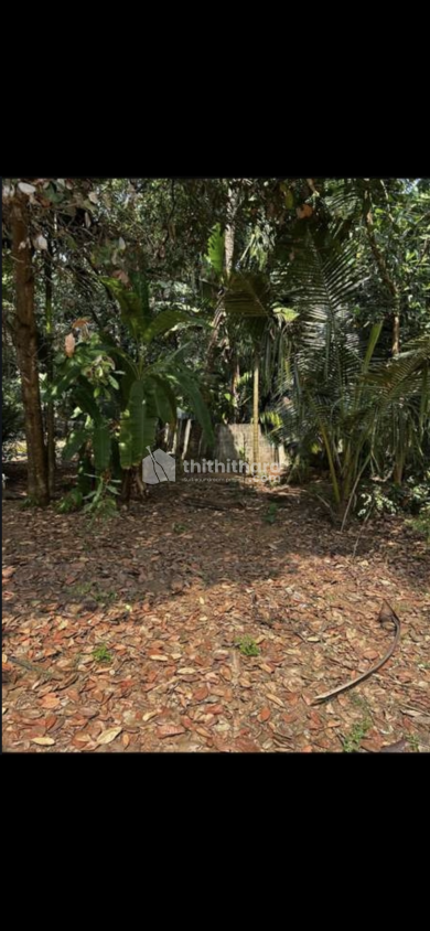 Residential Plot for Sale in Aluva Ernakulam