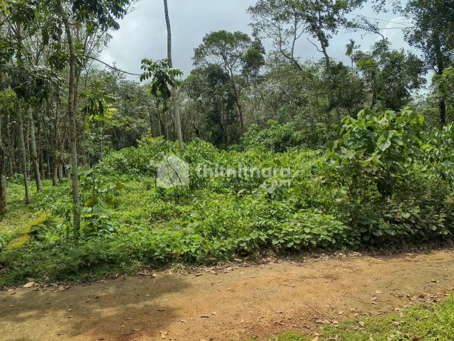 Residential Land Available for Sale in Adoor Pathanamthitta