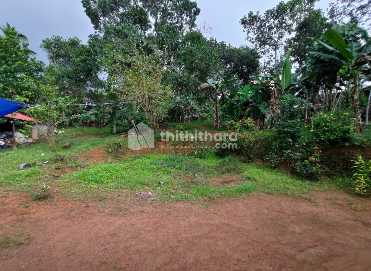Residential Land Available for Sale in Kottarakkara Kollam