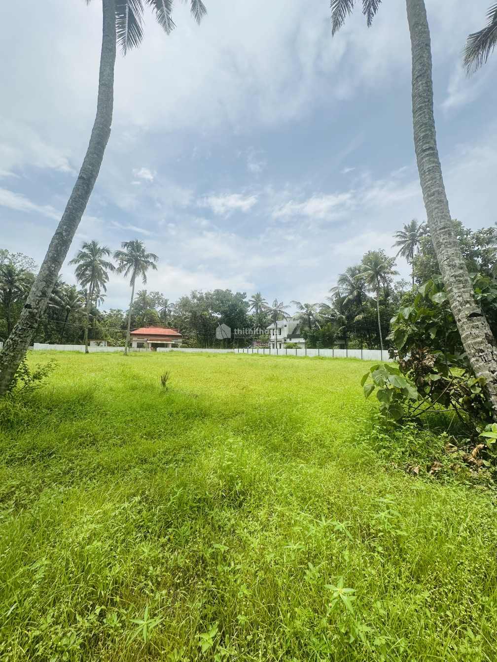 Residential Land Available for Sale in Mavelikara Alappuzha 
