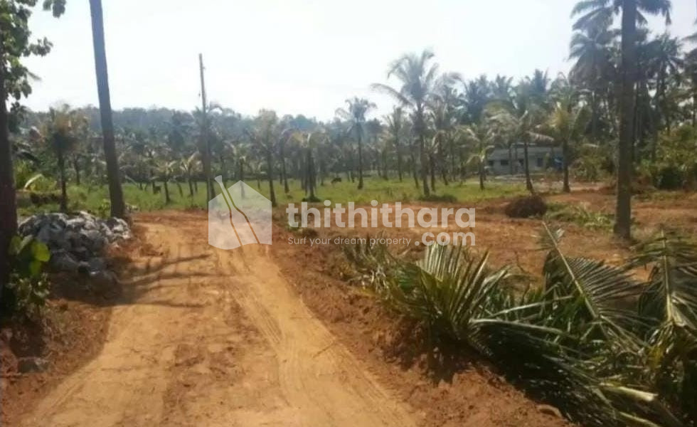 Residential Land Available for Sale in Puthoor Thrissur