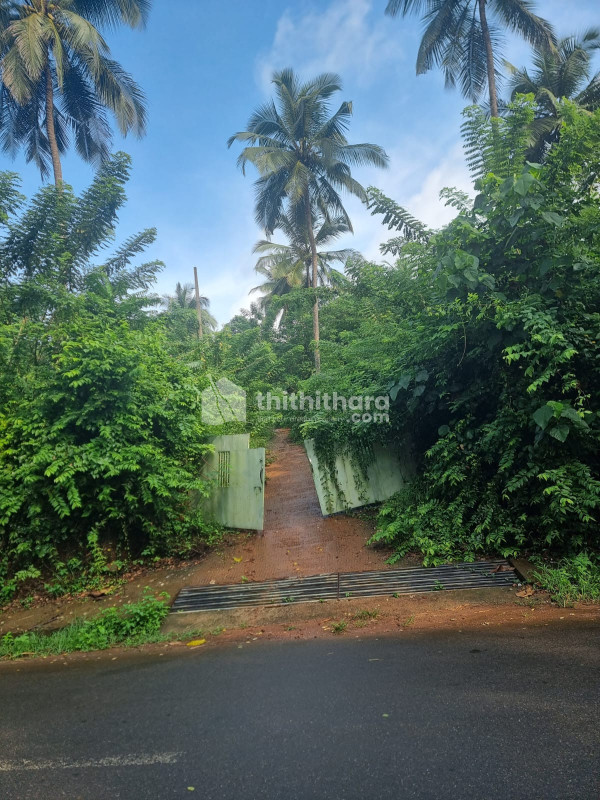 Residential Land available for Sale in Perinthalmanna Malappuram