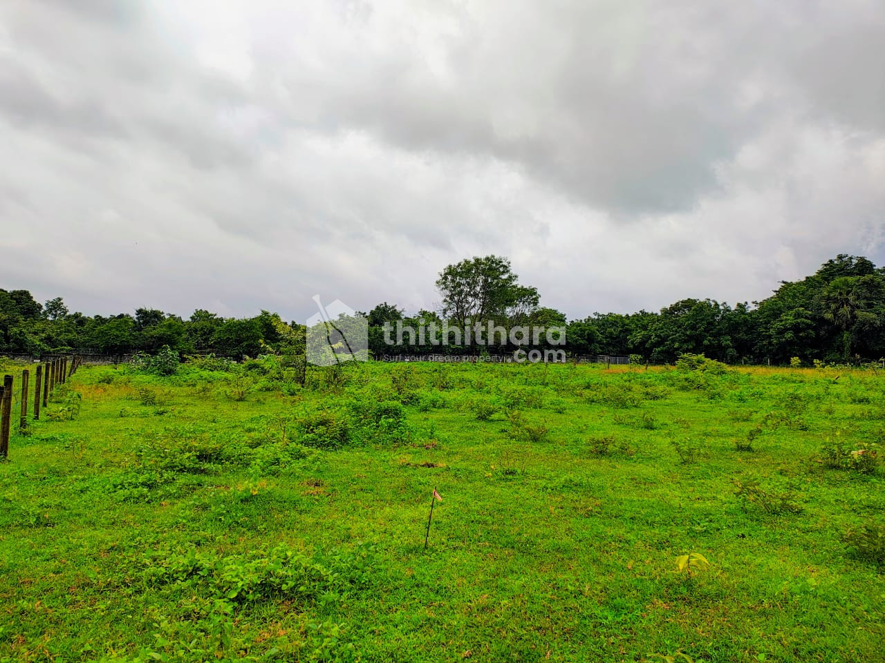 Commercial Plots Available For Sale In Malampuzha Palakkad