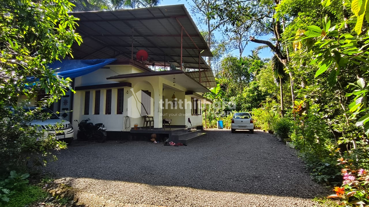 Commercial Plots Available for Sale in Poonjar Kottayam