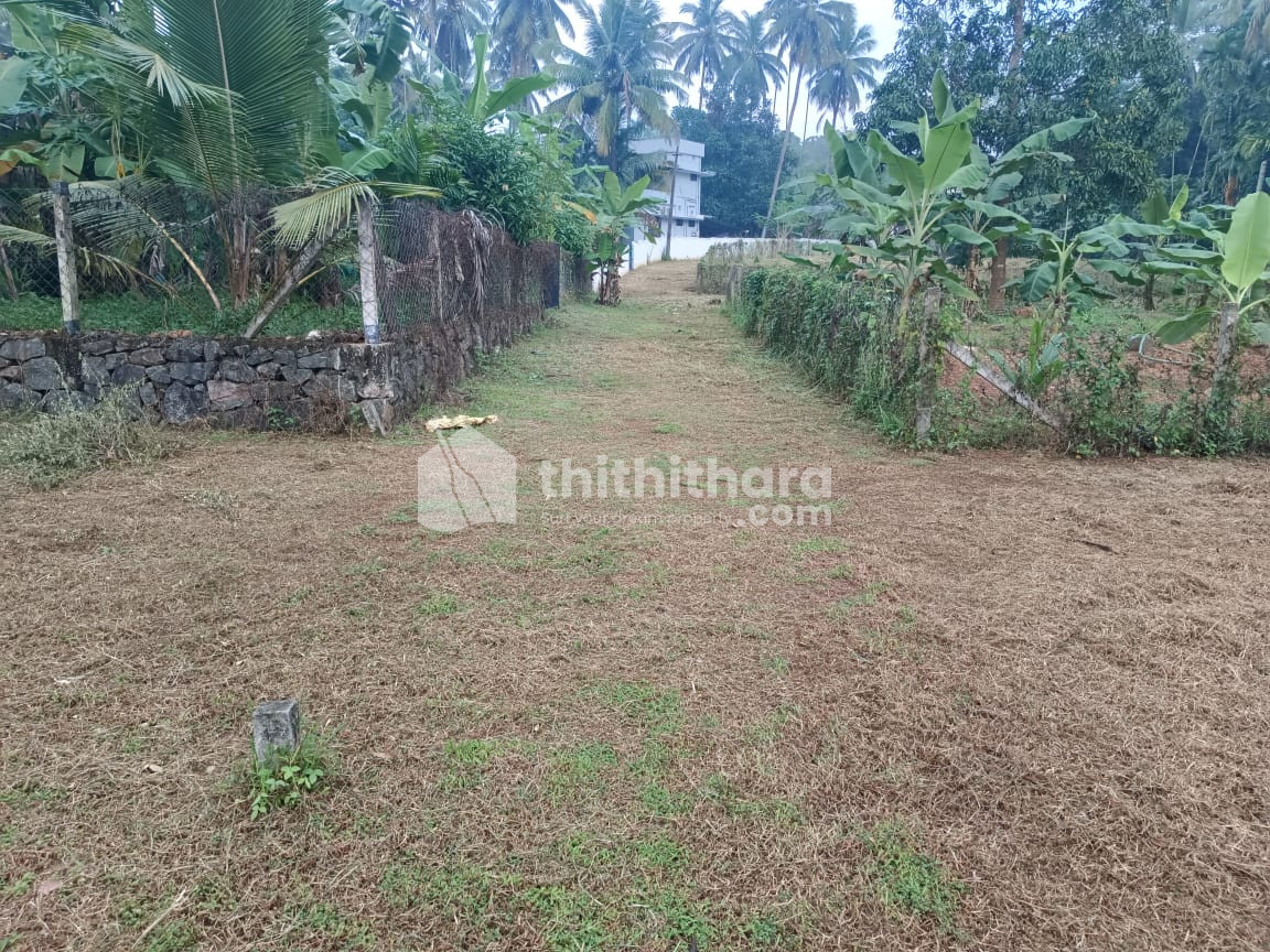 Residential Land Available for Sale in Mannarkkad Palakkad
