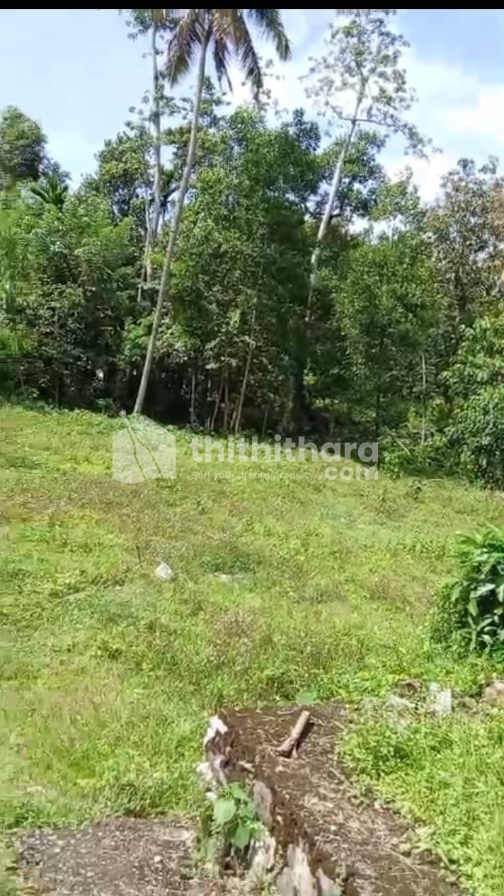 Residential Land Available for Sale in Chathannoor Kollam