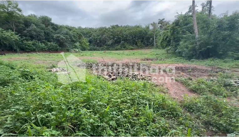 Residential Land Available for Sale in Alathur Palakkad