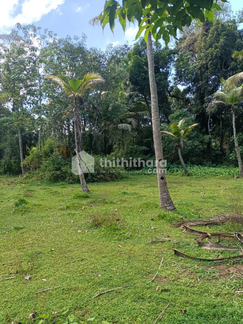 Commercial Plots Available for Sale in Haripad Alappuzha